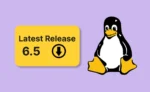 Linux 6.5