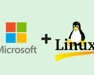 microsoft linux