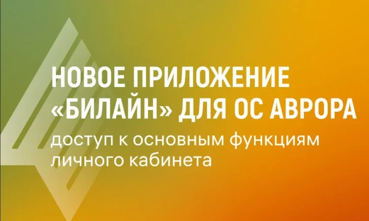 beeline аврора