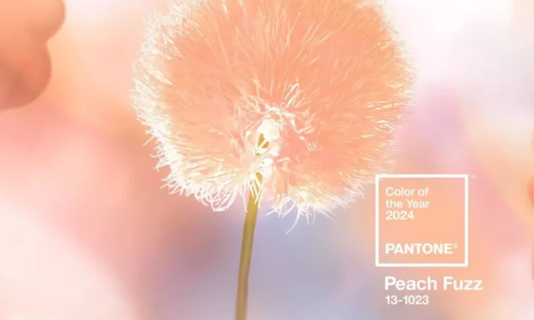 pantone peach fuzz