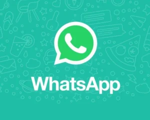 whatsapp скриншот профилей