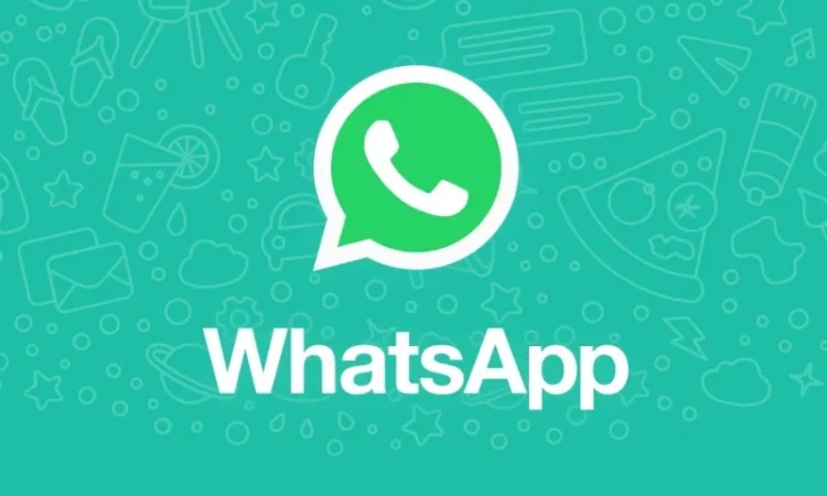 whatsapp скриншот профилей